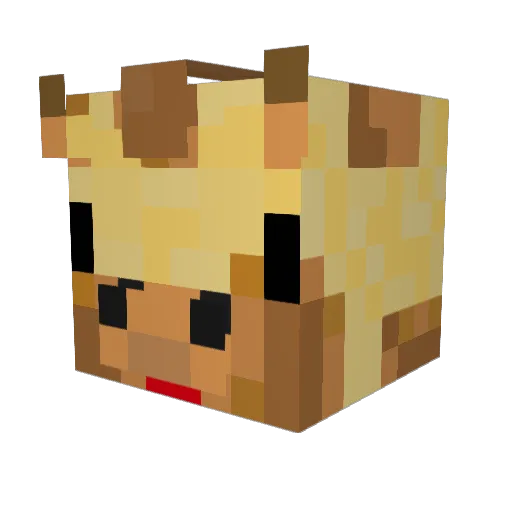 MrStealYourBot3 Minecraft avatar head, 3D render