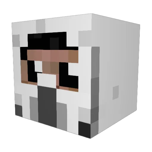 MrStealYourStuff Minecraft avatar head, 3D render