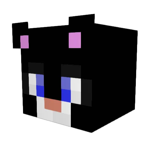 MrSteev Minecraft avatar head, 3D render