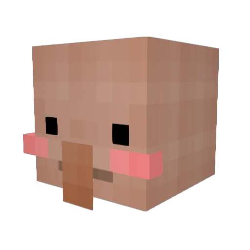 MrSukimbo Minecraft avatar head, 3D render
