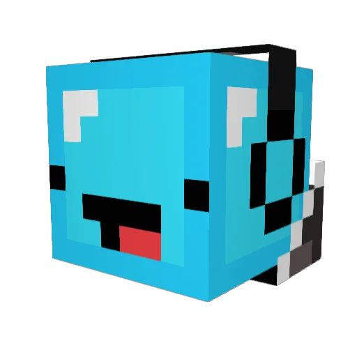 MrSwagaliscous Minecraft avatar head, 3D render