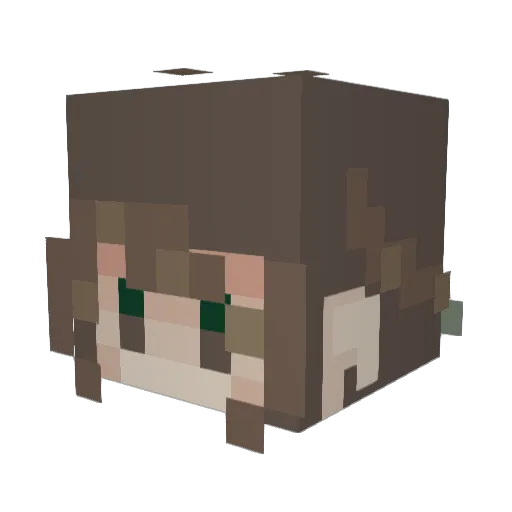 MrT0sa Minecraft avatar head, 3D render