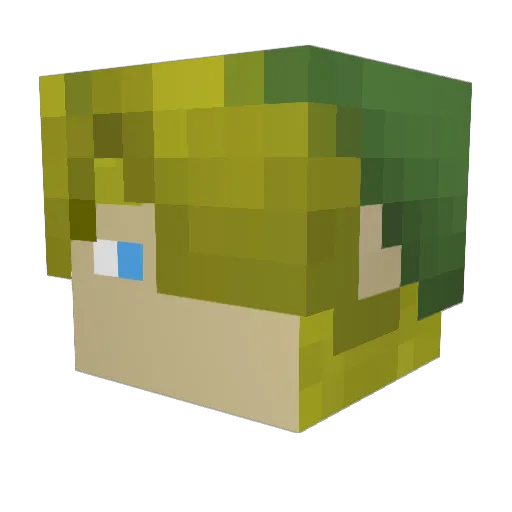 MrTRiot Minecraft avatar head, 3D render