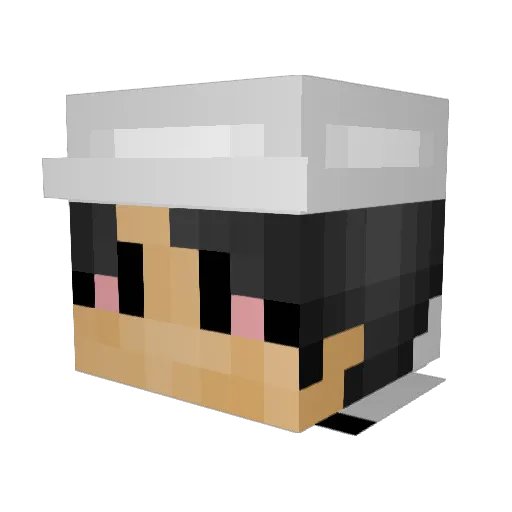 MrTacos_ Minecraft avatar head, 3D render