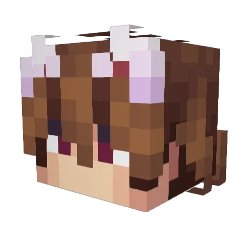 MrTadd69 Minecraft avatar head, 3D render