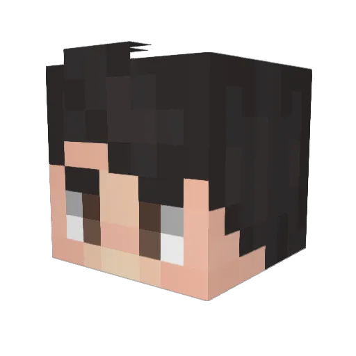 MrTeapot03 Minecraft avatar head, 3D render