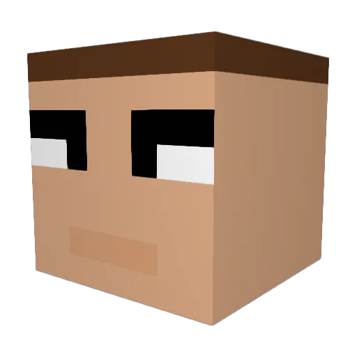 MrTechy1234 Minecraft avatar head, 3D render