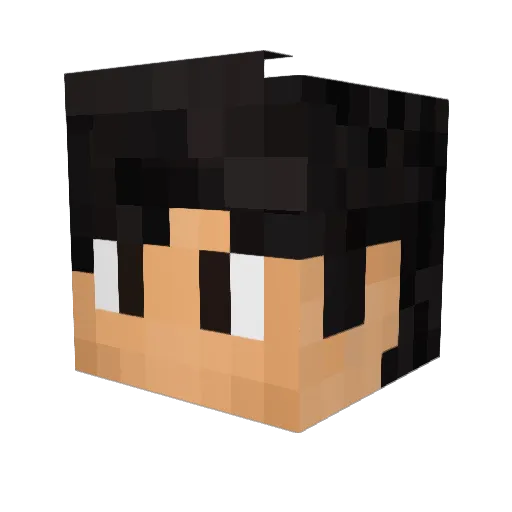 MrTeeko Minecraft avatar head, 3D render