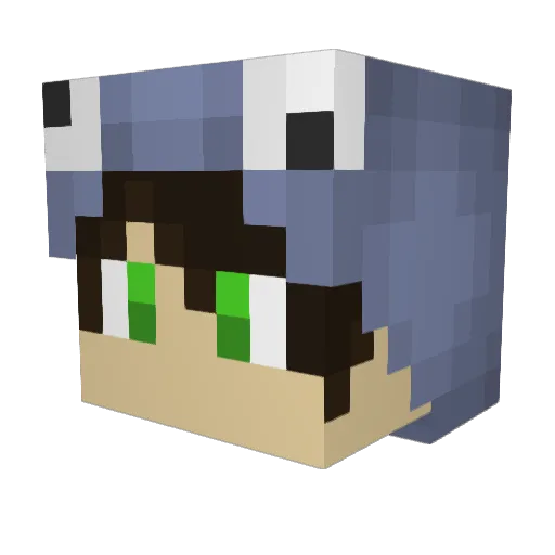 MrTerox Minecraft avatar head, 3D render