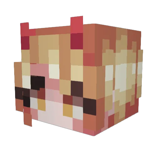 MrTestMeat Minecraft avatar head, 3D render