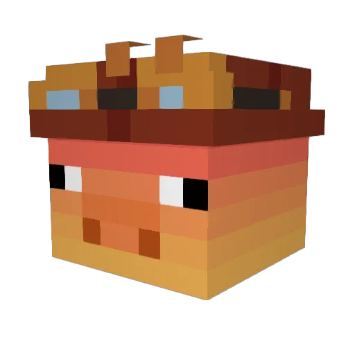 MrTheConductor Minecraft avatar head, 3D render