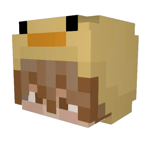 MrTheRealNick Minecraft avatar head, 3D render