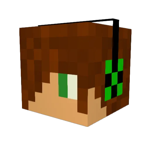 MrTimKull Minecraft avatar head, 3D render