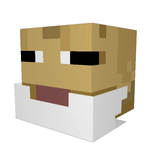 MrToad20 Minecraft avatar head, 3D render