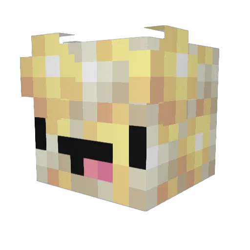 MrToasty1223 Minecraft avatar head, 3D render