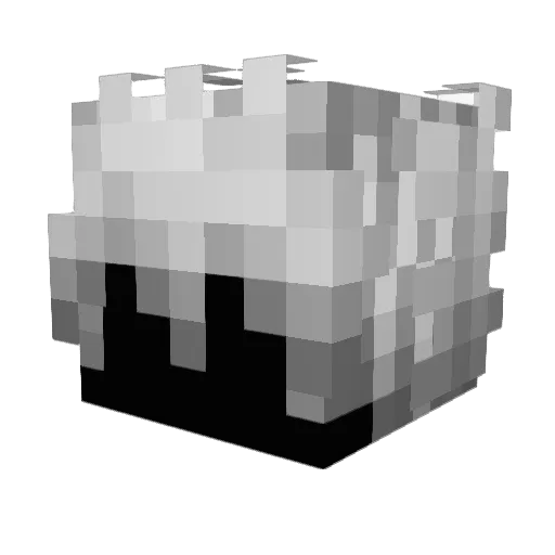 MrToeLover69420 Minecraft avatar head, 3D render