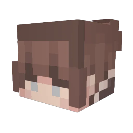 MrTofuDelivery Minecraft avatar head, 3D render