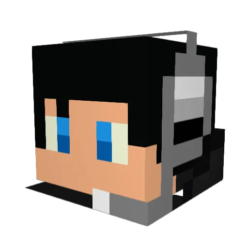 MrTokenninja Minecraft avatar head, 3D render