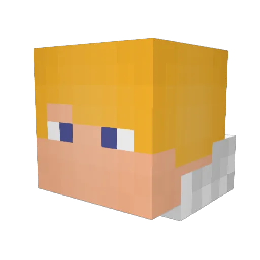 MrToxic06 Minecraft avatar head, 3D render