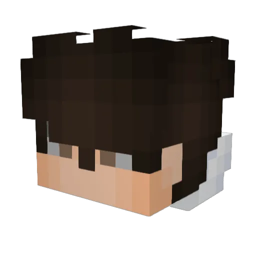 MrTropix Minecraft avatar head, 3D render