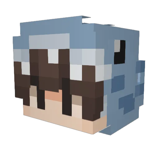 MrTuki_ Minecraft avatar head, 3D render