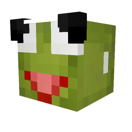 MrTurkey69 Minecraft avatar head, 3D render