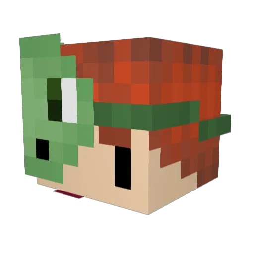 MrTurtle8 Minecraft avatar head, 3D render