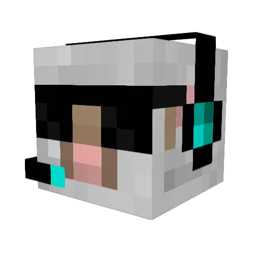 MrTuxedoSheep Minecraft avatar head, 3D render