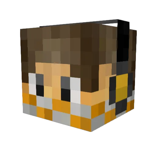MrVex99 Minecraft avatar head, 3D render