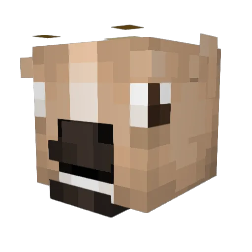 MrVillager101 Minecraft avatar head, 3D render