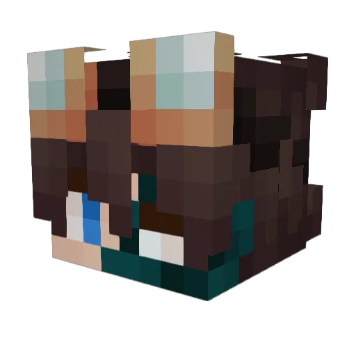 MrVoidKnight Minecraft avatar head, 3D render