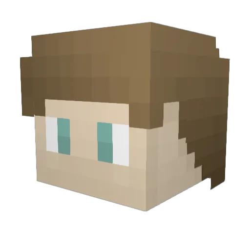 MrW4ter Minecraft avatar head, 3D render
