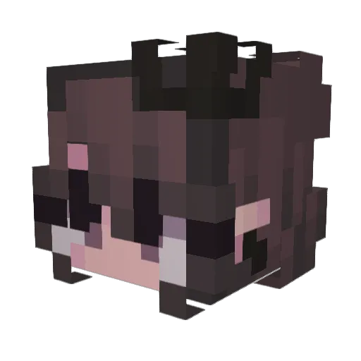 MrWDR40 Minecraft avatar head, 3D render