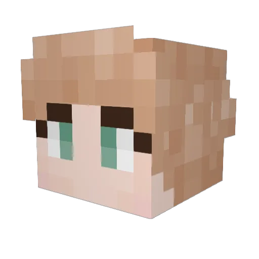MrWellinton Minecraft avatar head, 3D render