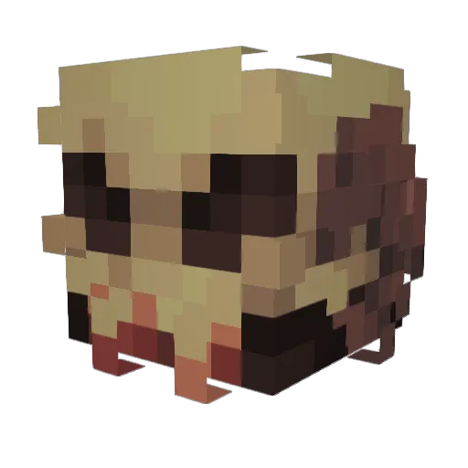 MrWendigo27 Minecraft avatar head, 3D render