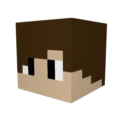 MrWilmott Minecraft avatar head, 3D render