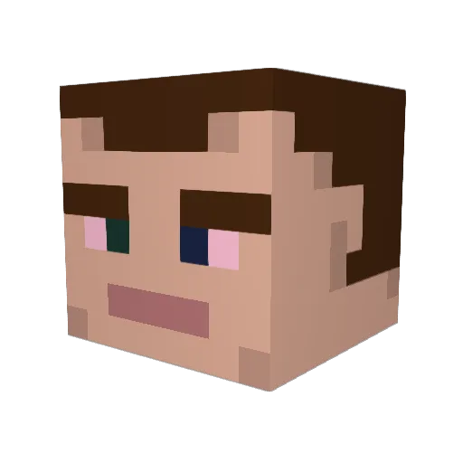 MrWinkles69 Minecraft avatar head, 3D render