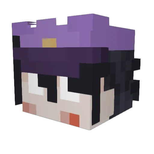 MrWinter5636 Minecraft avatar head, 3D render