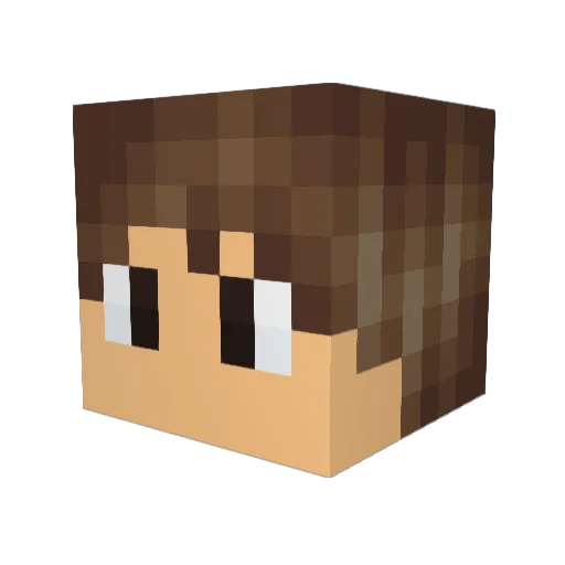 MrWinter56 Minecraft avatar head, 3D render