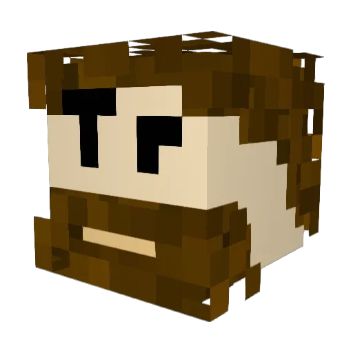 MrWise36 Minecraft avatar head, 3D render