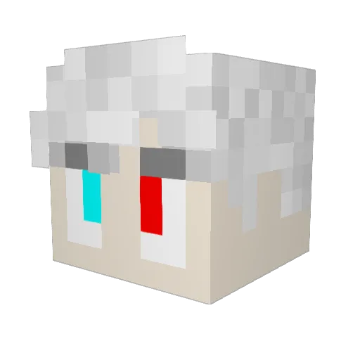 MrWolfgy Minecraft avatar head, 3D render
