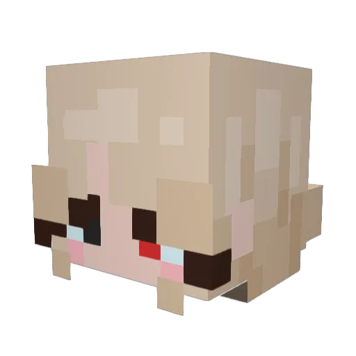 MrWorldwide127 Minecraft avatar head, 3D render