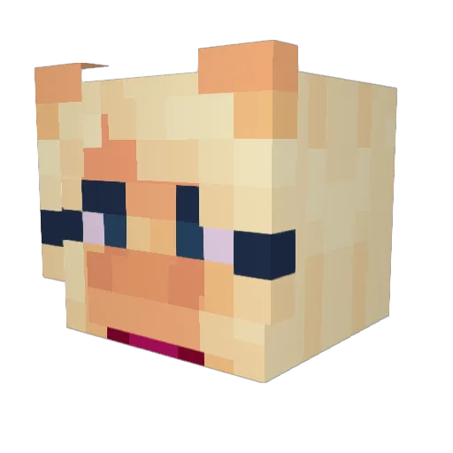 MrZayBlockz Minecraft avatar head, 3D render