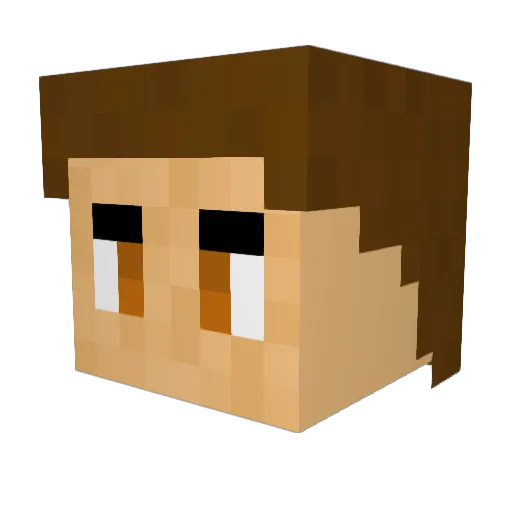 MrZomboss11 Minecraft avatar head, 3D render