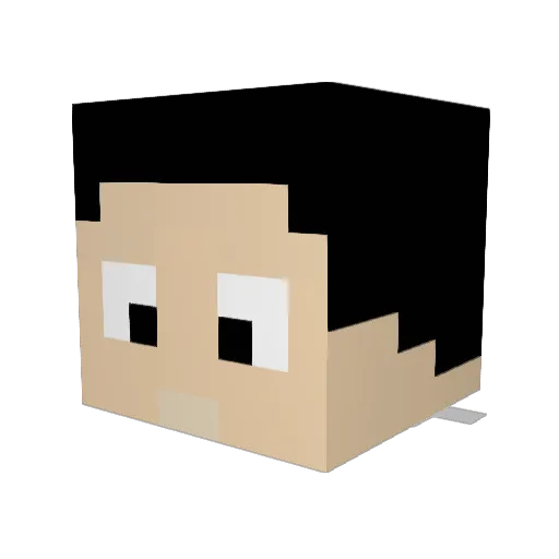 Mr_10eFAIXA Minecraft avatar head, 3D render