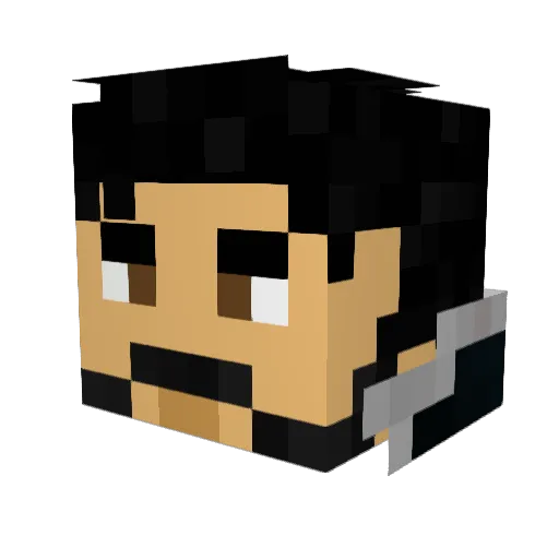 Mr_206 Minecraft avatar head, 3D render
