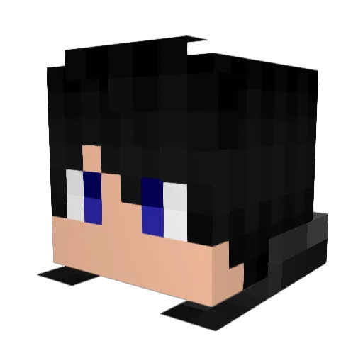 Mr_AREA51 Minecraft avatar head, 3D render