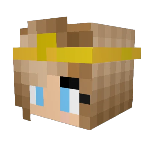 Mr_Action Minecraft avatar head, 3D render