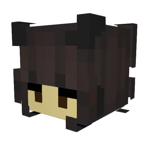 Mr_Anderssons Minecraft avatar head, 3D render