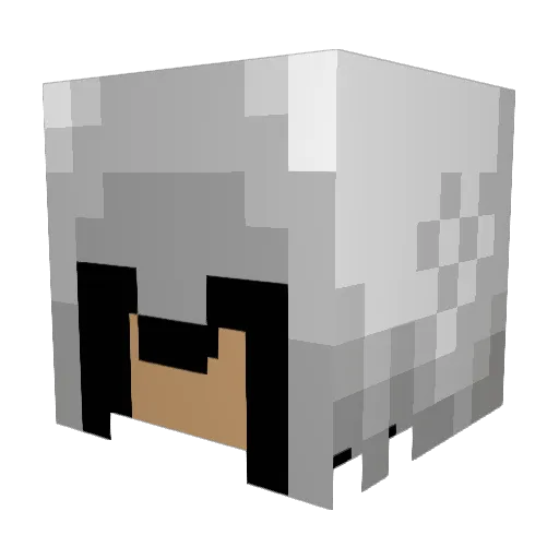 Mr_Assassin101 Minecraft avatar head, 3D render